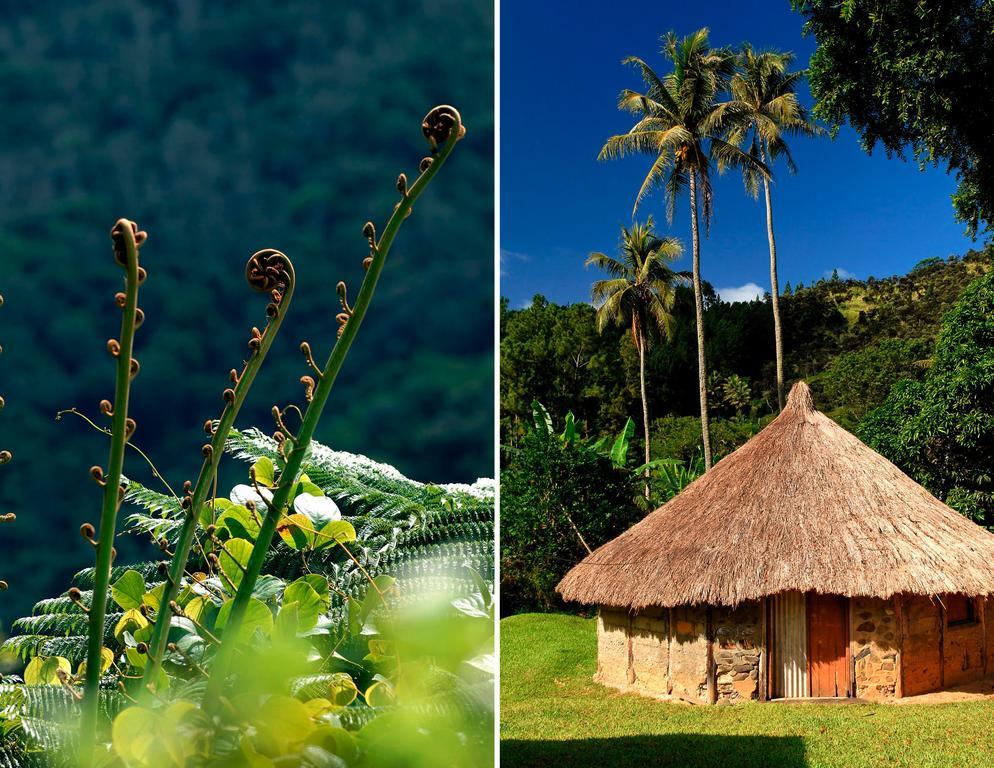 Hotel Koulnoue Village Hienghene Ngoại thất bức ảnh